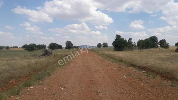 Akören Agalarda Yatirim Lık Tarla