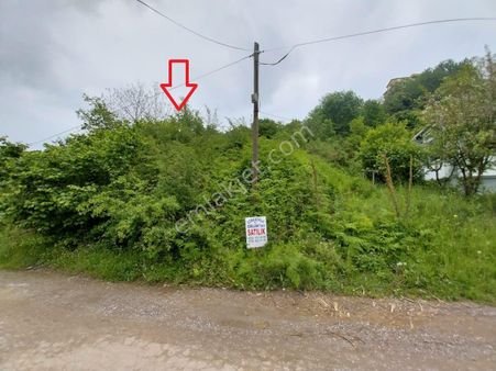 Kocaeli Gölcük Yenimahalle Satılık 403 M² Arsa