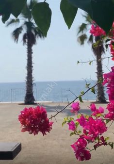 Nyc Gayrimenkul,den Satılık Otel Antalya Konyaaltı