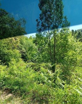 Sakarya Geyve Kamislida Satilik Arazi