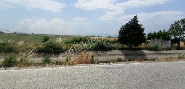 Seyrekte Satılık 27 Dönüm Tarla (55.000.000 Tl)