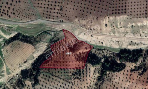 Aytekin Gayrimenkul'den Kilis'te Satılık Zeytin Saatli Köyü