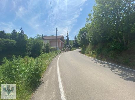 Yüksel Emlak Gyo'dan Çilekli'de "yatırım Garantili" Satılık Arsa