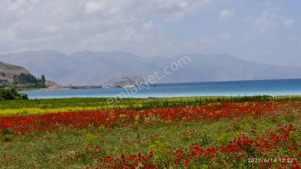 Denize Sıfır 14 Dönüm Süper Müstakil Tarla