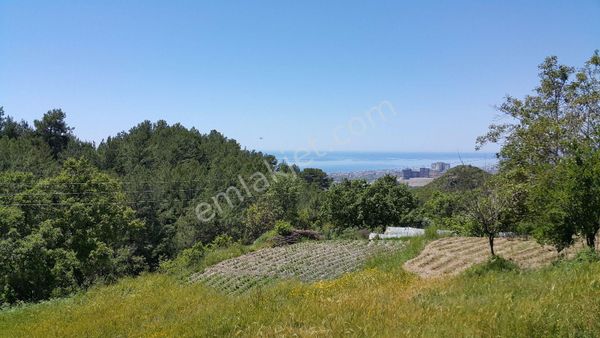 Alanya Kargıcak Satılık Müstakil Deniz Manzaralı Tarla