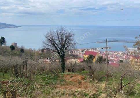 Kadıoğlu Emlak Giresun Satılık 311 M2 Arsa