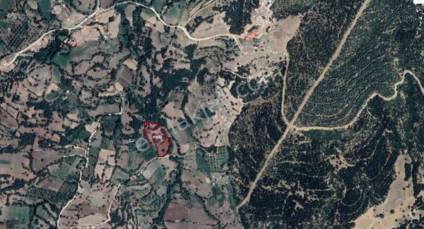 Asya Evim Gayrimenkulden Sakarca Mah.satılık Ceviz Bahçesi