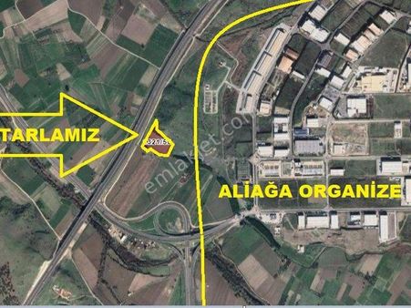 Bülent Ateşci'den Organizeye Sınır Parselde 17747 M2 Tarla