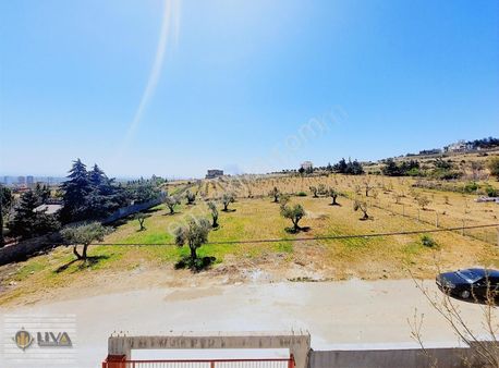 Liva Gayrimenkul'den Şıhmehmette Yatırımlık Veya Villalık Arazi