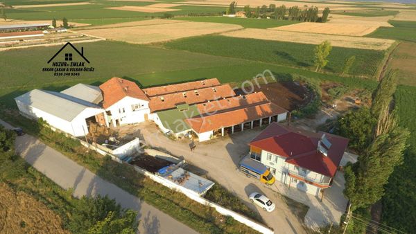 Amasya - Suluova Huzur 05 Emlaktan Ruhsatlı Krediye Uygun Çiftlik 8.665m2 Alana Kurulu