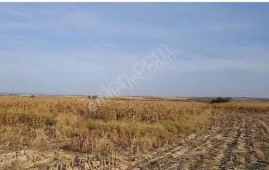 Marjınal Raporlu Ges(güneş Enerjisi)santral Kurmaya Uygun Araziler