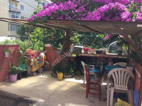 Sümbülefendi-hacı Piri Sk.-perşembe Pazarında -bahçeli 2 Ad. Daire