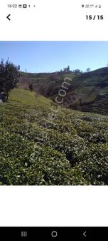 Rize İyidere İlçesinde Satılık Deniz Manzaralı Arazi