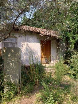 Tekirdağ Süleymanpaşa Gayrimenkulden Satılık Müstakil Ev Naip Köyü 1085m2 Arsa İçinde 4000000tl