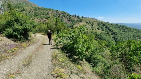 Güvenay-çorum İskilip Yolunda 31,5 Km Çok Bakımlı Satılık Harika Bağ