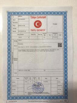 Vizyon Emlak'dan Tek Tapu Yatırımlık Tarla