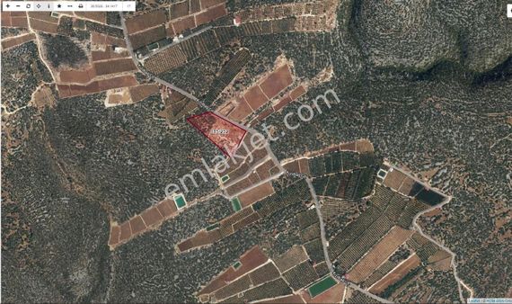 Ayaş Kızılbağda Satılık Yola Sıfır Tarla