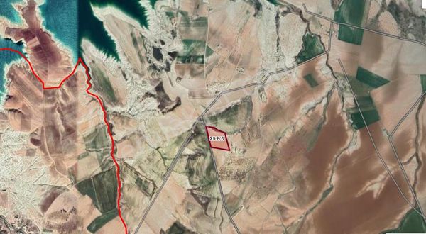 Babacandan Yığınak'ta Satılık Fıstıklık Ve Zeytinlik Parseller