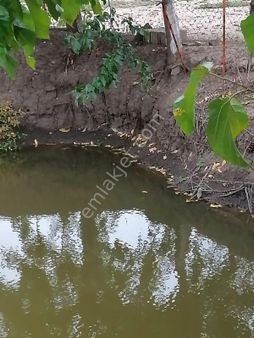 Tekirdağ Muratlı Ballıhoca Mahallesinde Berk Emlak'tan Satılık Cevizlik.