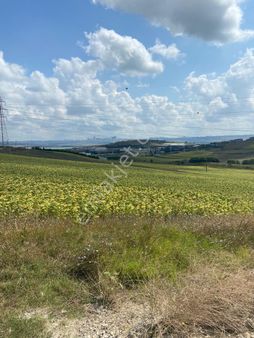 Tepecik'de Parselasyona Uygun Satılık Kelepir Arsa
