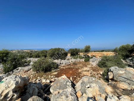 Narlıkuyuda Satılık Deniz Manzaralı Tarla