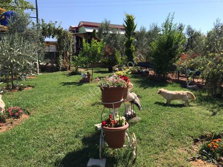 Alanya Avsallar Merkezde Müstakil Arsa 620m Ve İçinde Ev