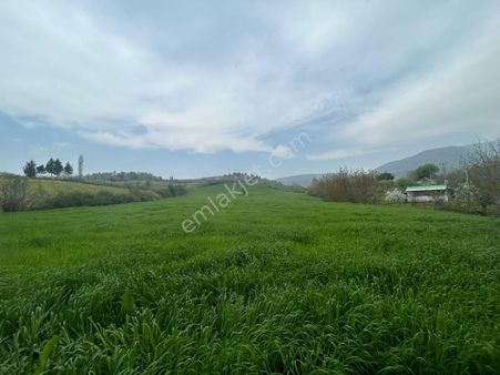 Kocaeli Karamürsel Akçat Mahallesi 16073 M2 Tarla