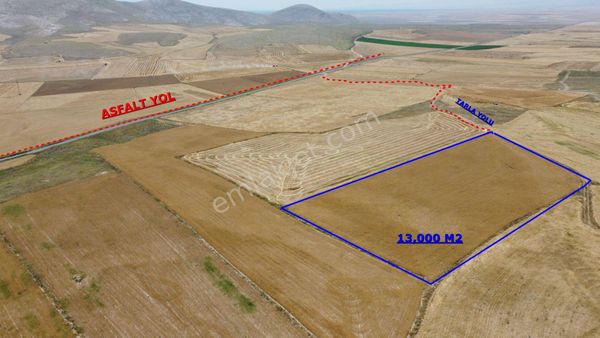 Asfalta Yakın Verimli Bölgede 13 Dönüm Yatırımlık Arazı