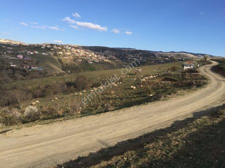 Yakupabdal Arsalarınız - Alınır - Satılır - Bilgi Verilir...