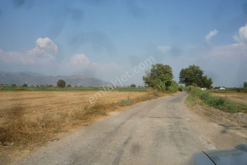 İzmir Torbalı Gold Emlaktan Satılık Tarla