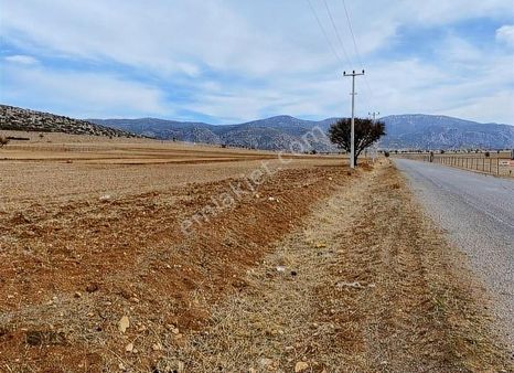 Fırsat Çaykenarı Asfalt Yola Yakın 2 Adet Yatırımlık Tarla