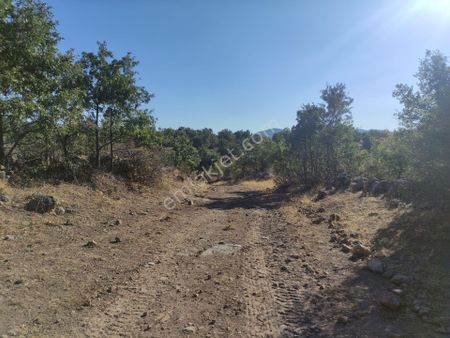 Konya Seydişehir Ketenli Mah .satılık Tarla 62 000 M2 Tarla Tek Parça Yarı Orman