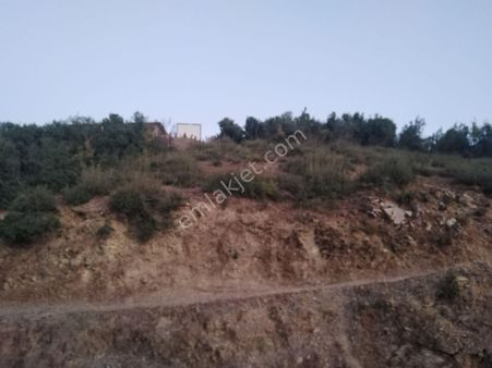 Muğla Elmalı'da Konut İmarlı Arsa