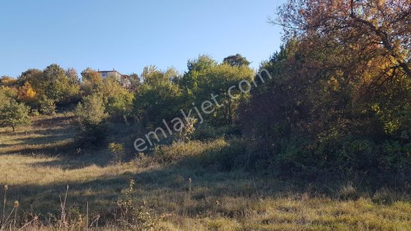 Kocaeli Karamürsel Akçat Mahallesi 5897 M2 %5 İmarlı Satılık Tarla