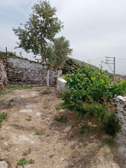 Bayindirda Bahçeli Taş Ev