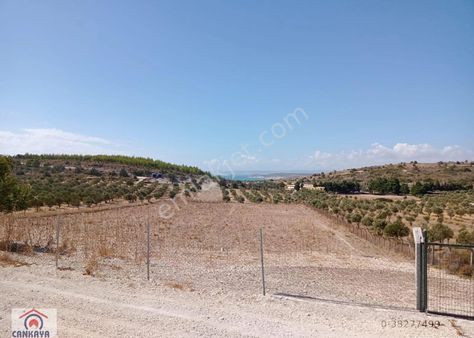 Tarla Çeşme Altınkum Da 7.500 M2 Deniz Manzaralı