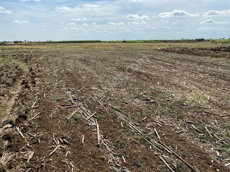 Lider Emlakdan Pinarhisar Tozaklı Köyünde Satılık 543.m2 Tarla