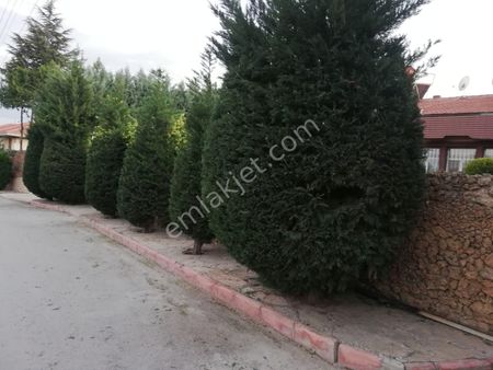 Selçuklu Erenköy Mah.800 M2 Arsa İçinde 7+1 Satılık Süper Lüks Villa