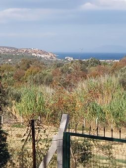 Rose Emlak'tan Satılık Kupon Çiftlik Arazisi