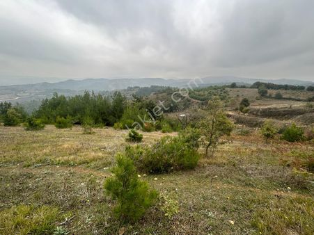 Kocaeli Karamürsel Çamdibi Mahallesi 5432 M2 İmarlı Satılık Tarla