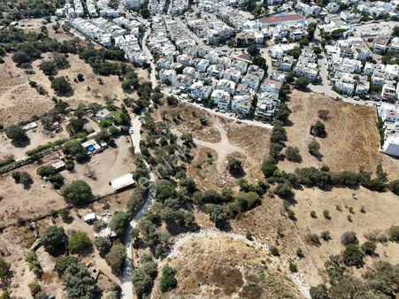 Muğla Bodrum Turgutreis Akçaalan Mahallesinde Yeni İmar Planı İçinde