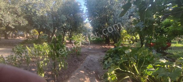 Utku İnş Gayrimenkulden Manisa Akhisar Medar Mahallesinde Satılık 660 M2 Arsa