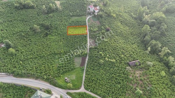 Şahinoğlu Emlaktan Trabzon Derecik'te 845 M2 Müstakil, Düz 2 Adet Arsa.