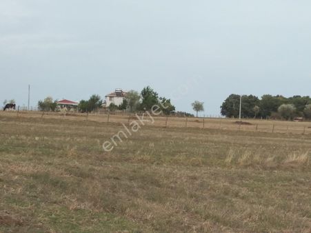 Korkmaz Emlaktan Bafra Köseli Köyünde 15 Dönüm Kaçmaz Fırsat Satılık Tarla