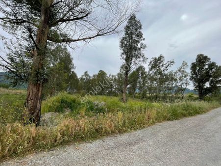 Ortaca Güzelyurt'ta Satılık 5000 M2 Müstakil Parsel Tarla