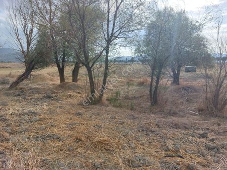 Burdur Bucak Ürkütlüde Satılık Tarla