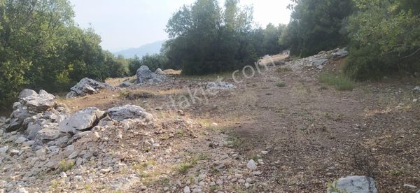 Burdur Ağlasun Asya Emlaktan Sagalassos 300 Metre Mesafe Kıraç Mahallesinde 5 Adet Yatırımlık Arazi