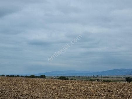 Han Emlak'tan Ezine Yeniköyde 9800 M2 Satılık Tarla