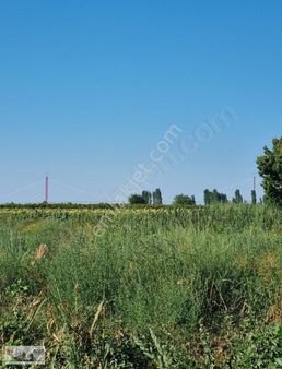 Kemıklialan Köy Yoluna Cepheli 9600 M2 Satılık Tarla Han Emlakta