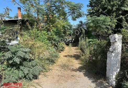 Dalaman'da Ortaca Akıncı Mahallesinde 523 M2 Satılık Tarla